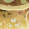 Botanicula - Steam ключ